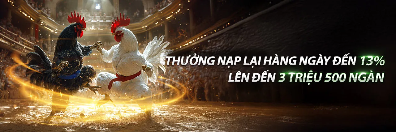 Hình ảnh đá gà trực tuyến gacam67 apk