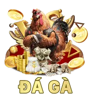 Đá gà cựa dao ấn tượng